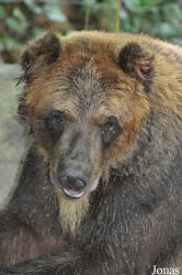 Zoo Negara