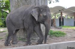 Zoo Negara