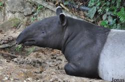 Zoo Negara