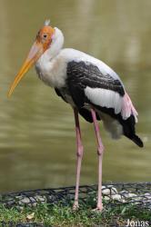 Zoo Negara