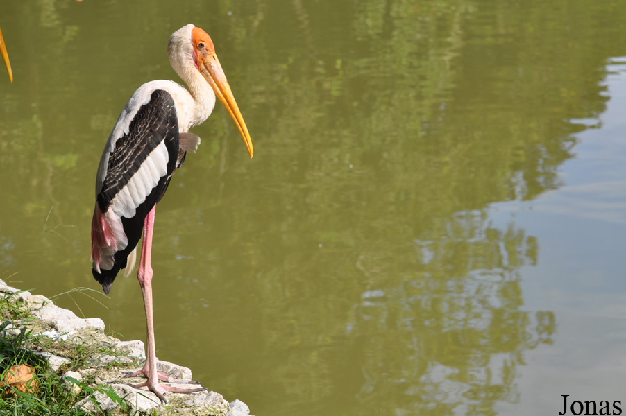 Zoo Negara