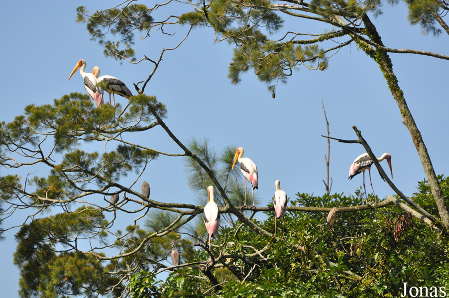 Zoo Negara