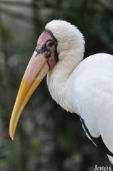 Zoo Negara