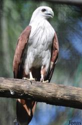 Zoo Negara