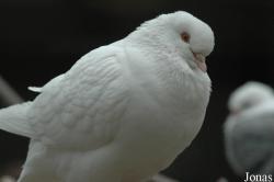 Zoo Kaiserslautern