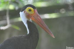 Zoo Negara