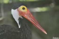 Zoo Negara