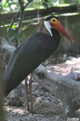 Zoo Negara