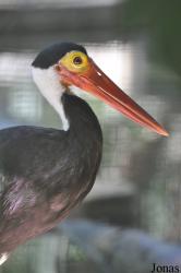 Zoo Negara