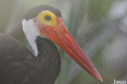 Zoo Negara