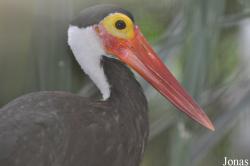 Zoo Negara
