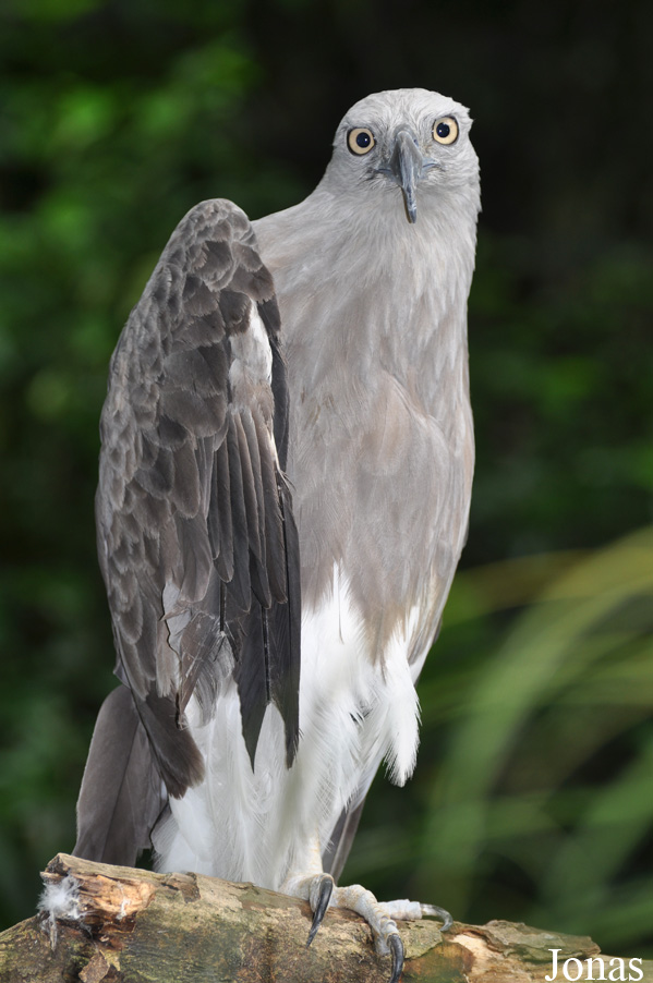 Sunway Wildlife Interactive Zoo
