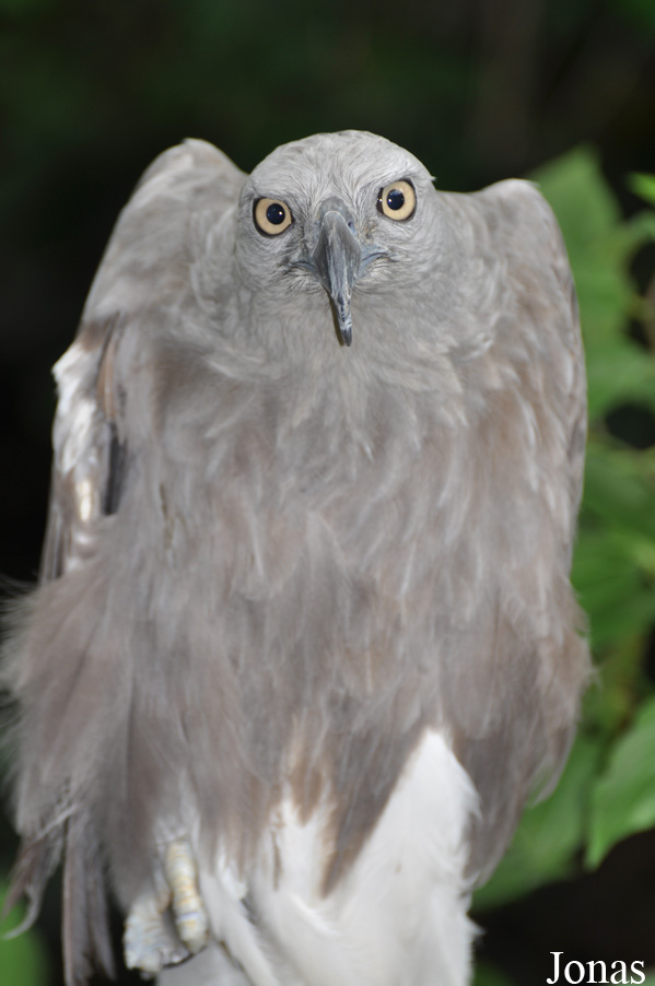 Sunway Wildlife Interactive Zoo