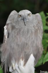 Sunway Wildlife Interactive Zoo