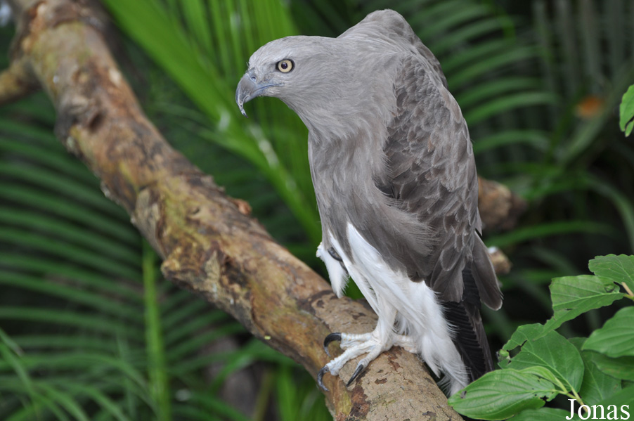 Sunway Wildlife Interactive Zoo