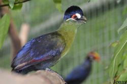 Sunway Wildlife Interactive Zoo