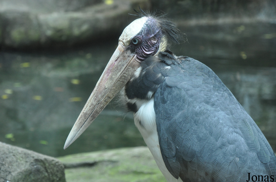 Sunway Wildlife Interactive Zoo