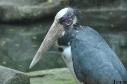 Sunway Wildlife Interactive Zoo