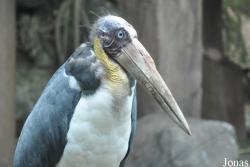 Sunway Wildlife Interactive Zoo