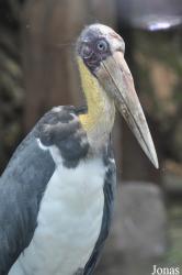 Sunway Wildlife Interactive Zoo