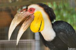 Sunway Wildlife Interactive Zoo
