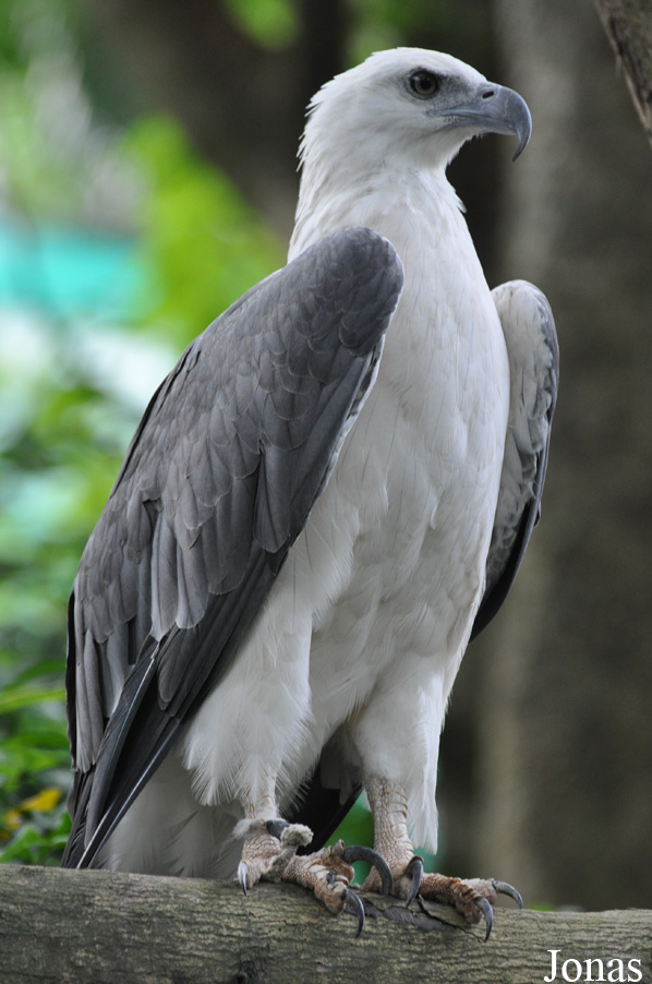 Sunway Wildlife Interactive Zoo