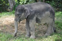 National Elephant Conservation Centre