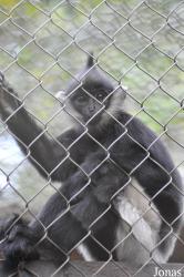 Endangered Primate Rescue Center (EPRC)