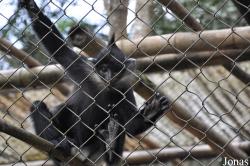 Endangered Primate Rescue Center (EPRC)