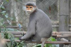 Endangered Primate Rescue Center (EPRC)