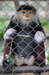 Endangered Primate Rescue Center (EPRC)