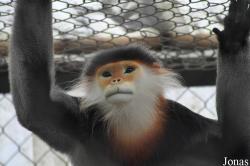 Endangered Primate Rescue Center (EPRC)