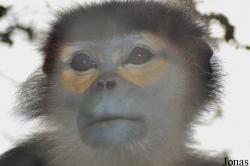 Endangered Primate Rescue Center (EPRC)