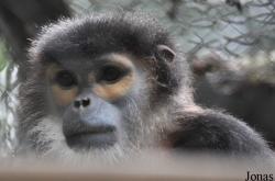 Endangered Primate Rescue Center (EPRC)