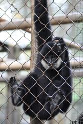 Endangered Primate Rescue Center (EPRC)