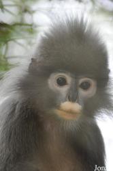 Endangered Primate Rescue Center (EPRC)