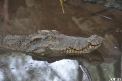 Hanoi Zoological Gardens