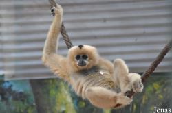 Hanoi Zoological Gardens