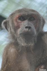 Hanoi Zoological Gardens