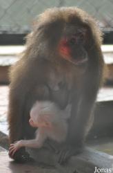 Hanoi Zoological Gardens