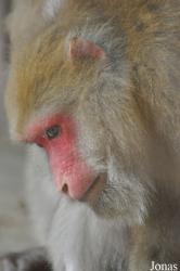 Hanoi Zoological Gardens
