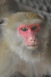 Hanoi Zoological Gardens
