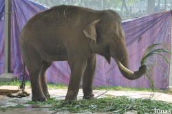 Hanoi Zoological Gardens