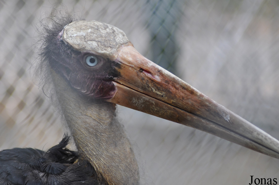 Hanoi Zoological Gardens
