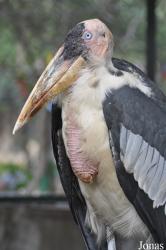 Hanoi Zoological Gardens