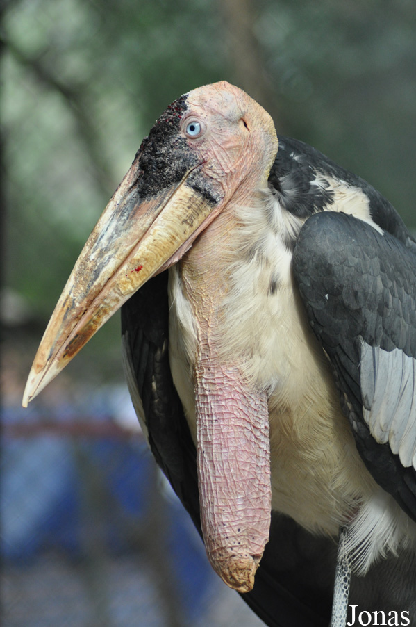 Hanoi Zoological Gardens