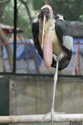 Hanoi Zoological Gardens