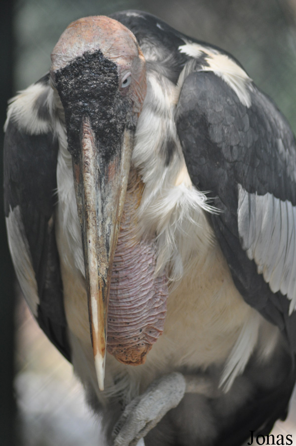 Hanoi Zoological Gardens
