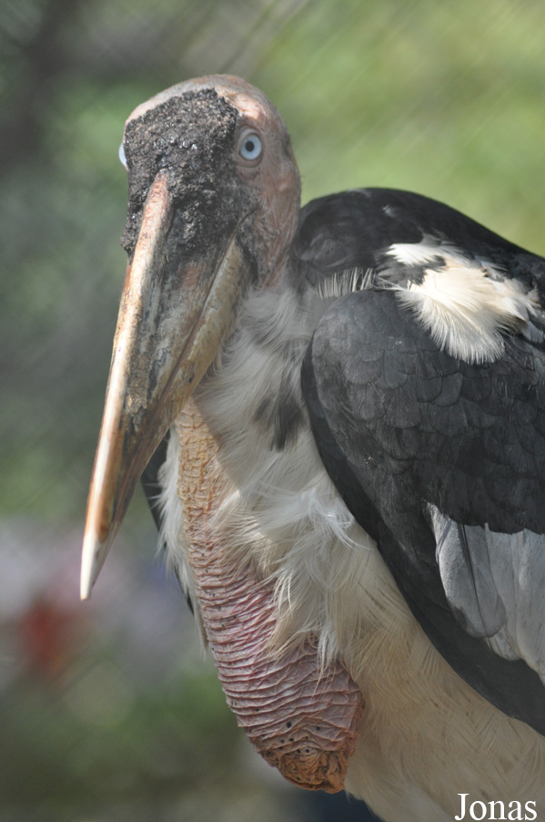 Hanoi Zoological Gardens