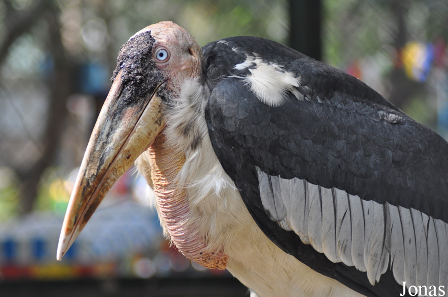 Hanoi Zoological Gardens